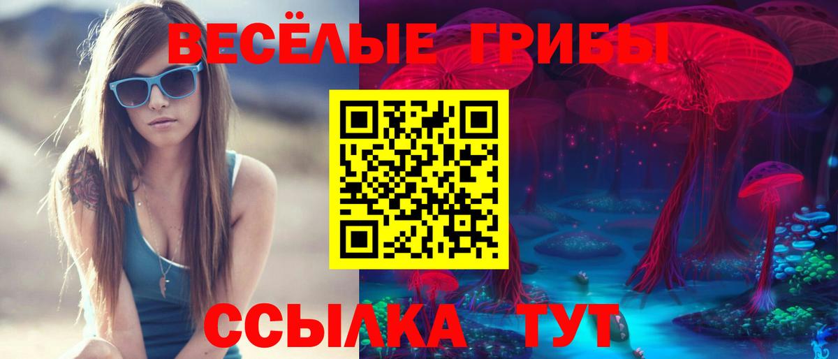 Псилоцибиновые грибы GOLDEN TEACHER Ивантеевка